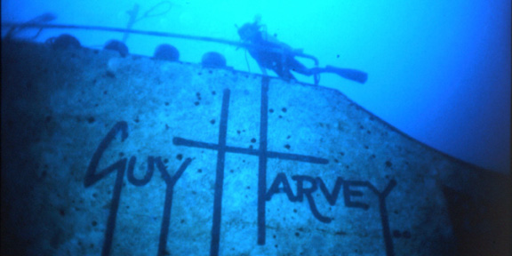 Dive With South Florida Diving Headquarters